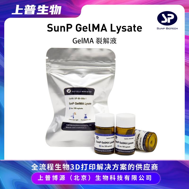 ղԴ | SunP GelMA Lysate  GelMAѽҺ 3Dӡ